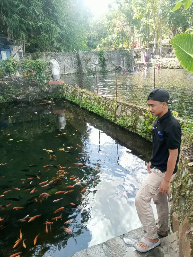 Cari lowongan driver pirbadi atau barang siap