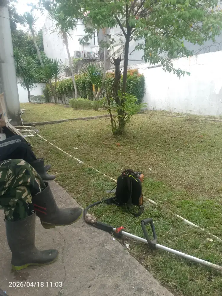 Maintenance Taman - potong rumput