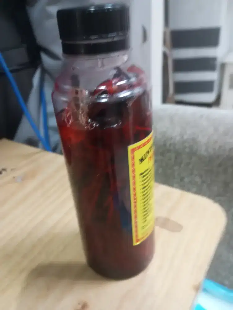 Minyak urut jarak Jawa dayak