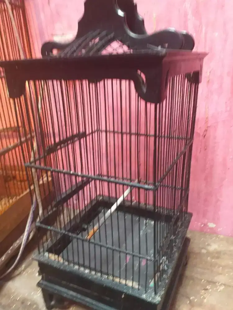 sangkar buncil sekend