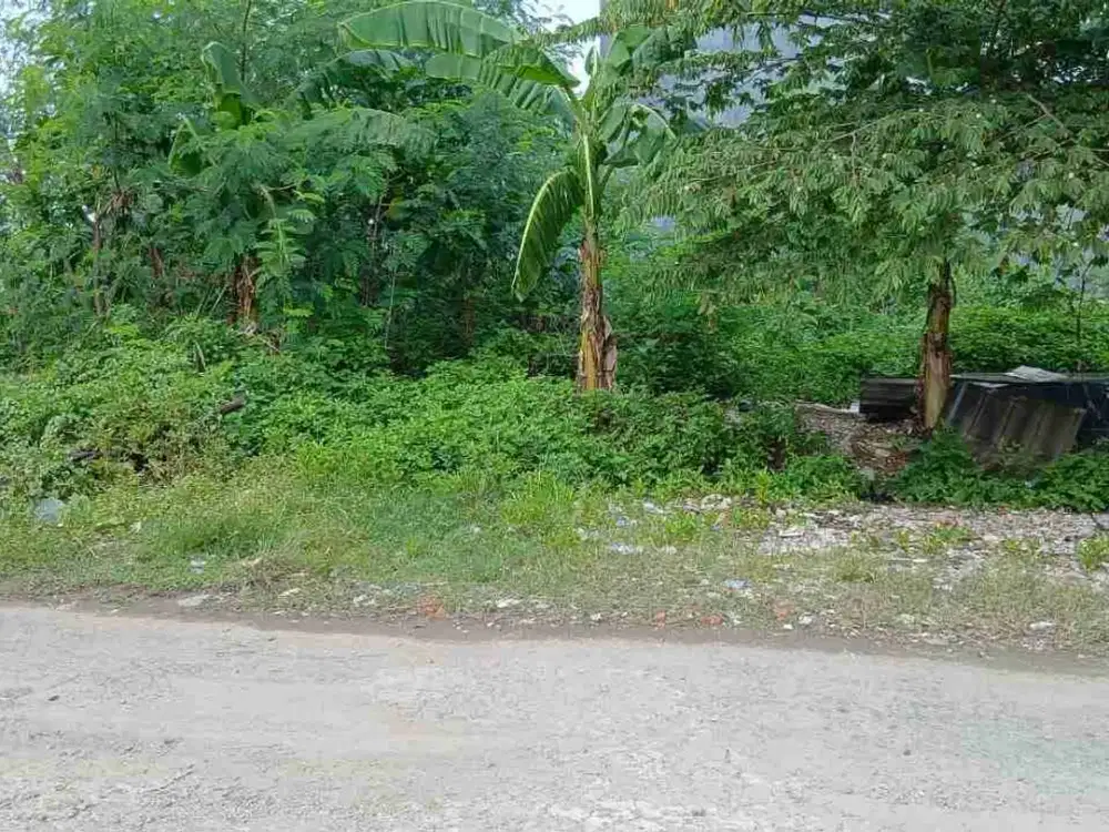 tanah kavling 600m siap bangun di penggilingan Cakung Jakarta Timur