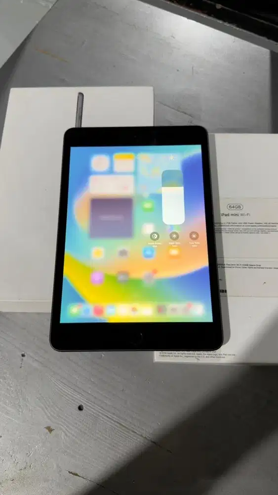 Ipad Mini 5 Grey 64GB Wifi Only Lengkap Mulus
