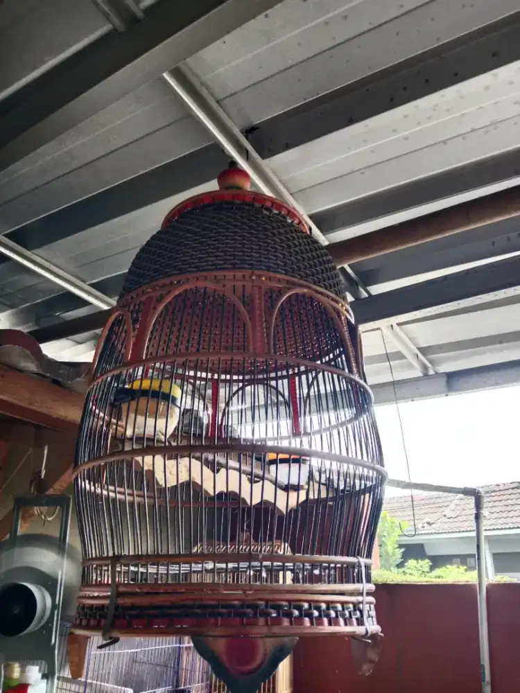 Kandang perkutut rotan