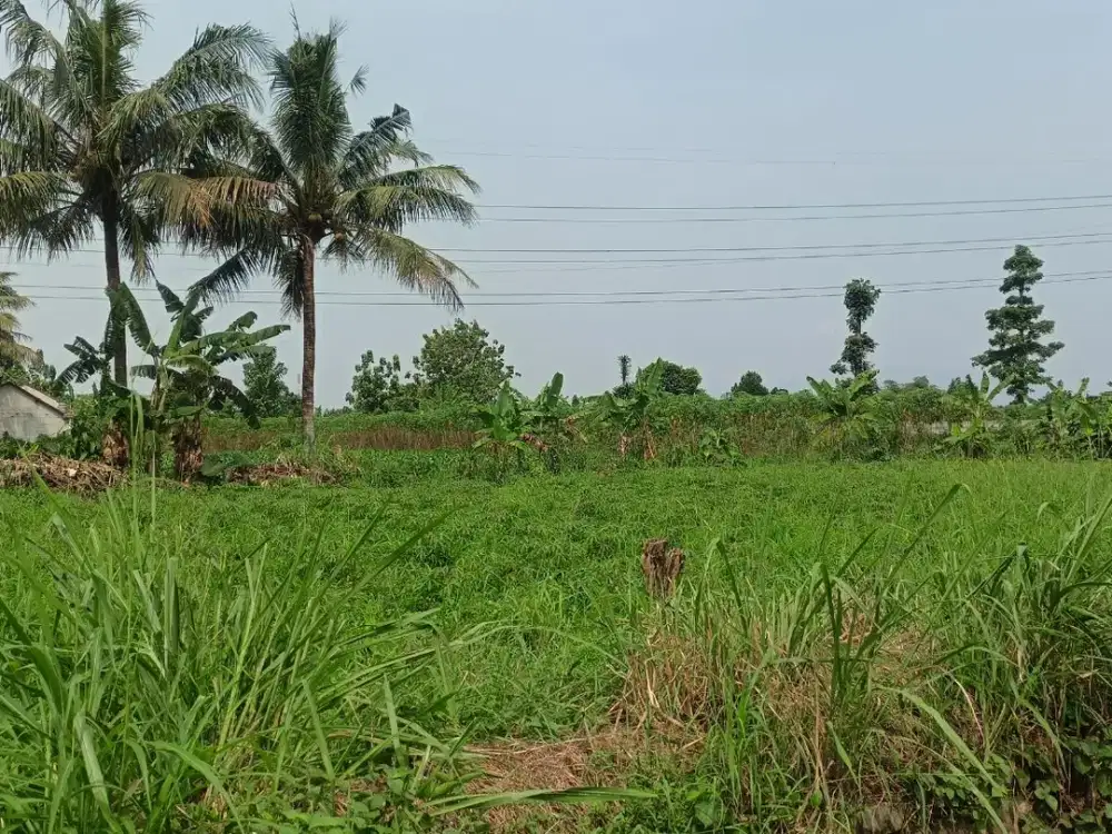 Kavling Strategis 9 Menit Stasiun Cilebut Free SHM