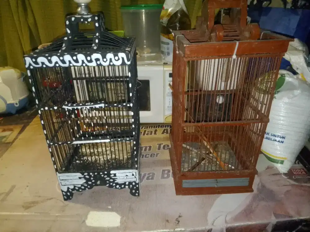 Kurung buat burung kecil