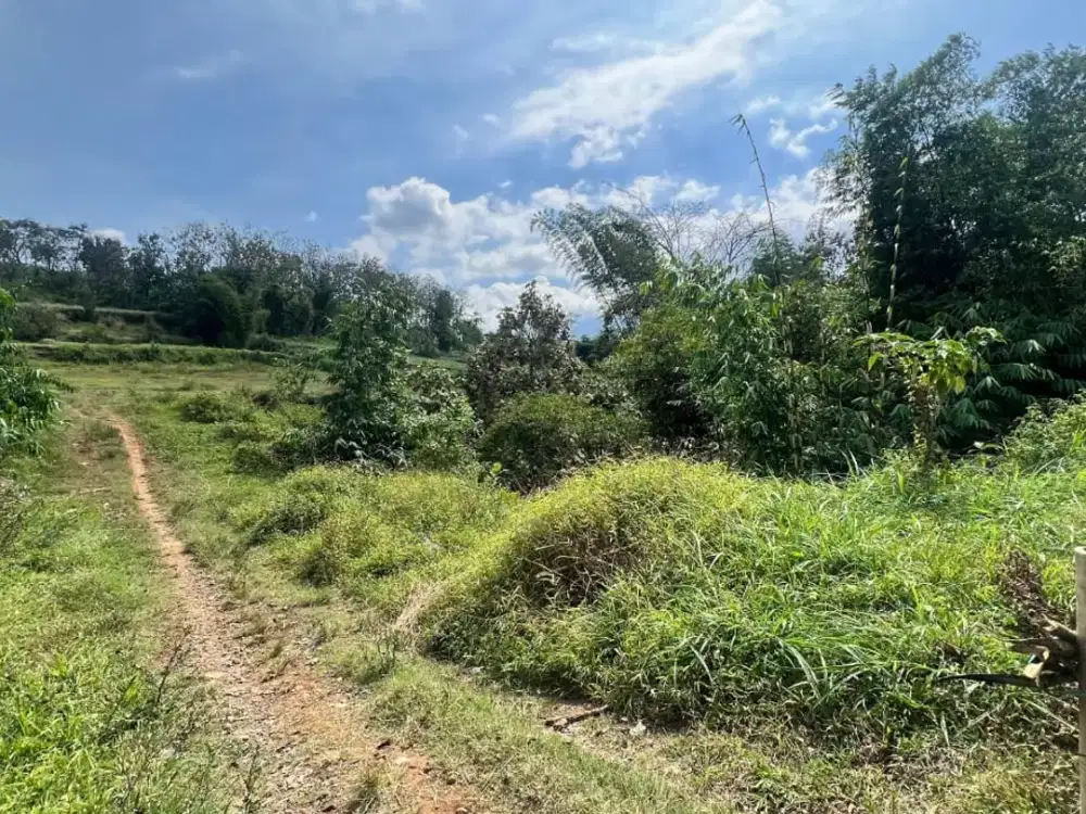 Tanah SHM 1 Jutaan di Malang – Cocok Hunian & Investasi, Bebas Macet