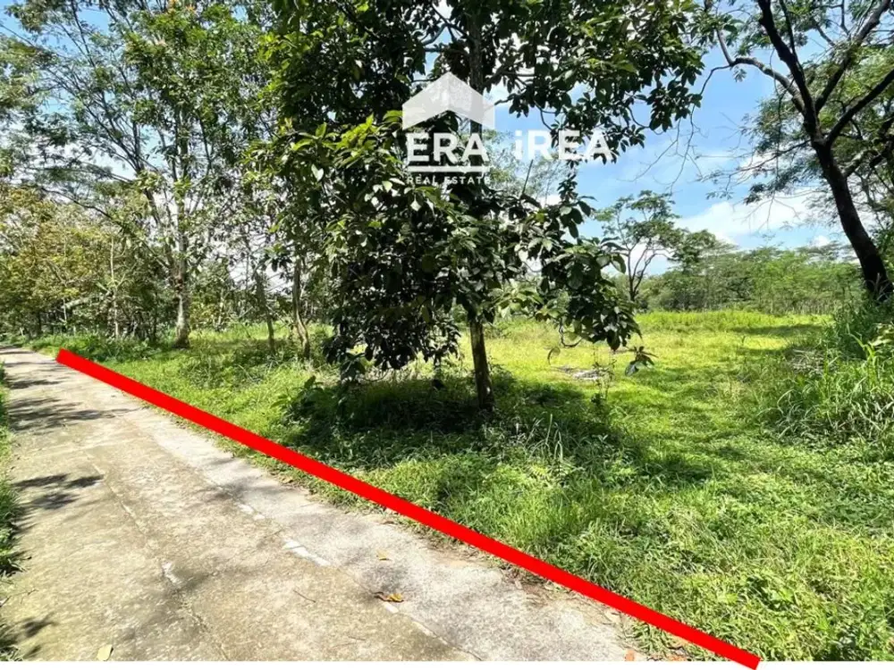 Tanah Dijual di Mojosongo Boyolali Dekat Pasar Kebonluwak dan RSUD Pandan Arang Boyolali