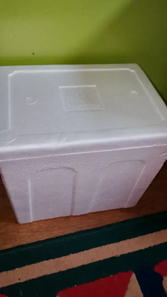 Styrofoam box medium