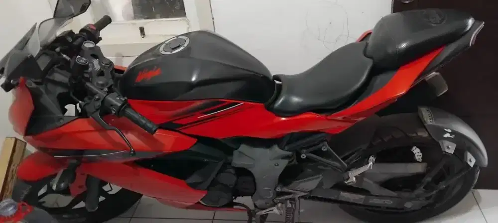 Kawasaki Ninja 250Cc Mono