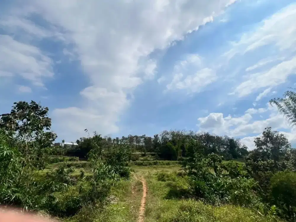 Tanah Murah Kota Malang Cocok Untuk Berkebun