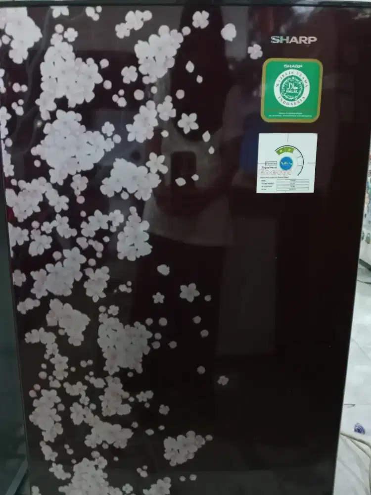 KULKAS 1 PINTU SHARP