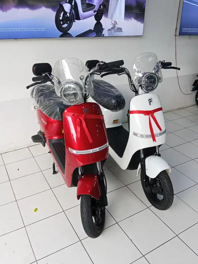 Sepeda Listrik Seliz