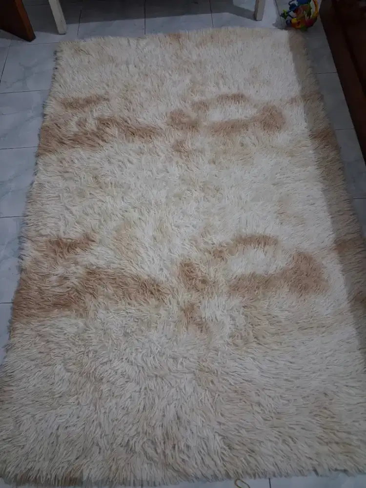 Karpet bulu rasfur gradasi