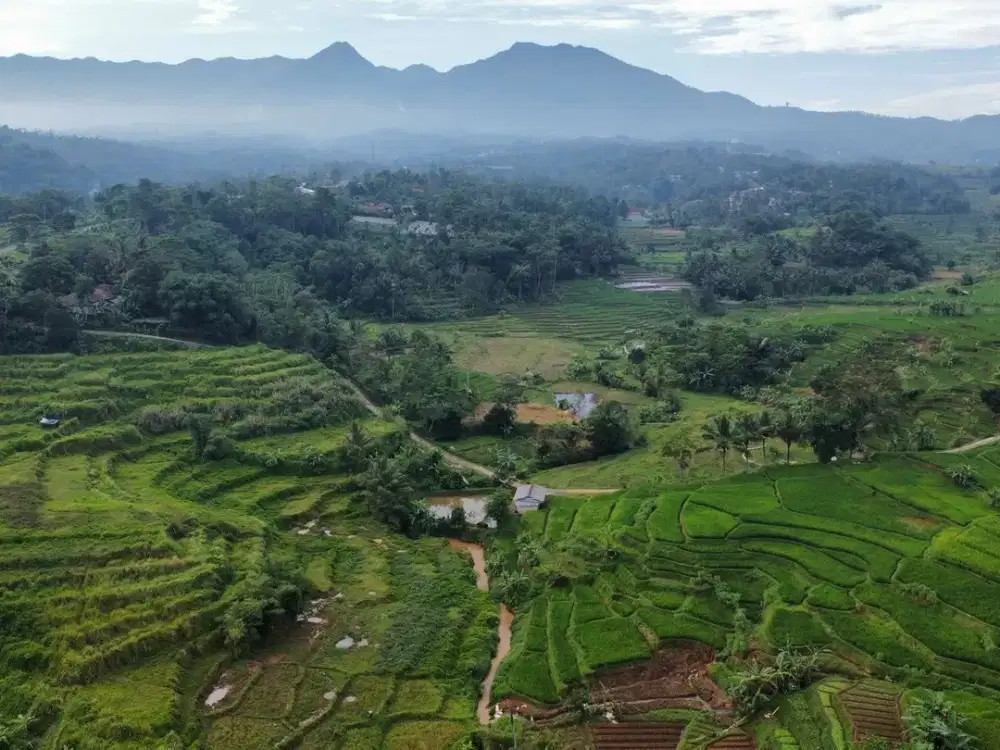 Dijual Murah Tanah Sawah 1586m2 Pinggir Sungai di Darangdan Purwakarta