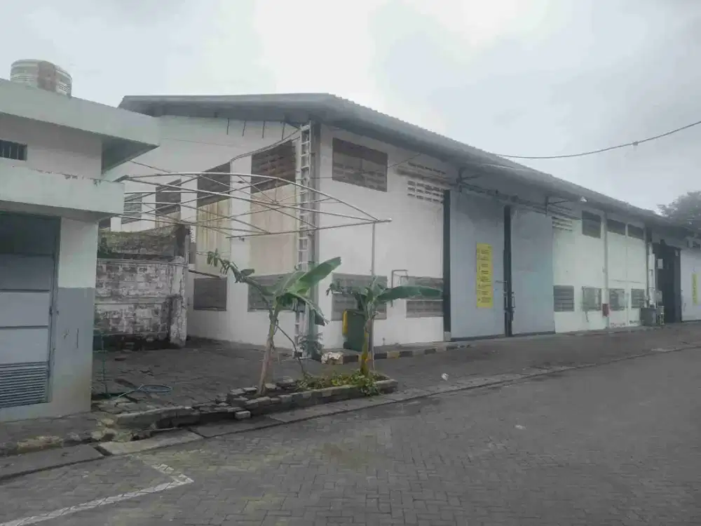 Gudang Bagus Siap Pakai Raya Trosobo Bringinbendo Taman