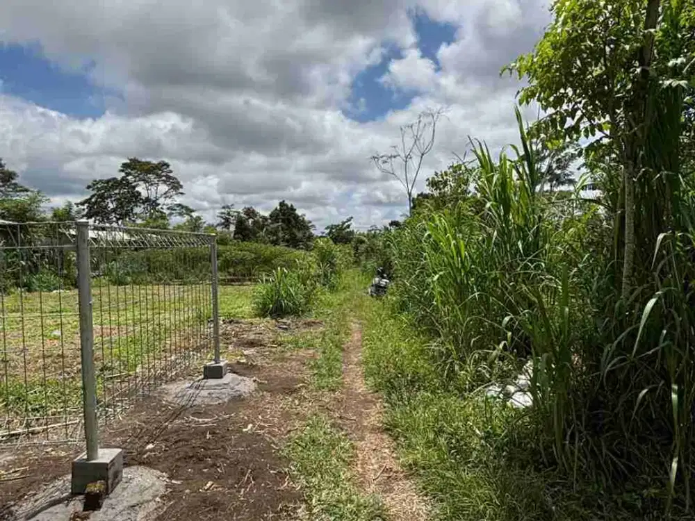 tanah kaveling di Taro ubud kintamani langsung jalan utama