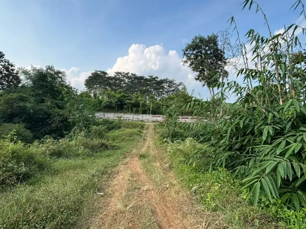 Tanah Malang Siap Bangun Wagir