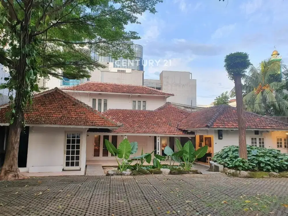 Disewa Rumah Dengan Halaman Luas Di Mampang Jaksel 9157