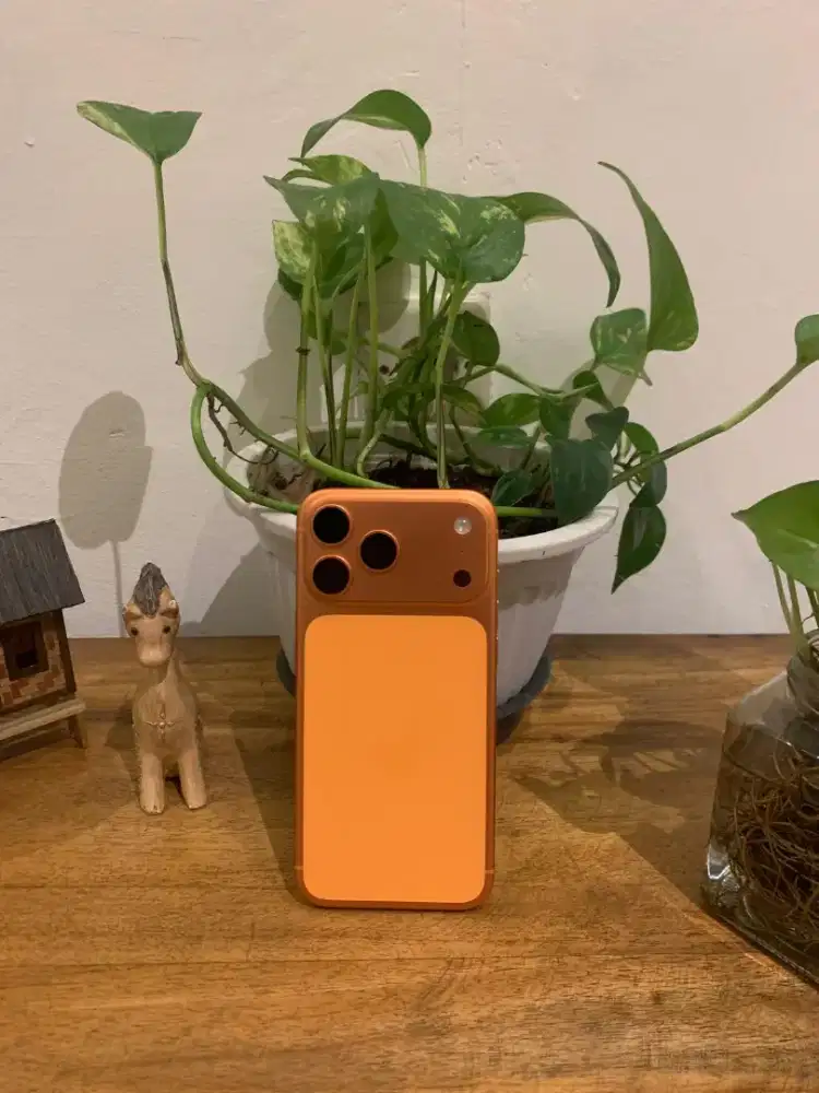 I-Phone 17 promax 513gb