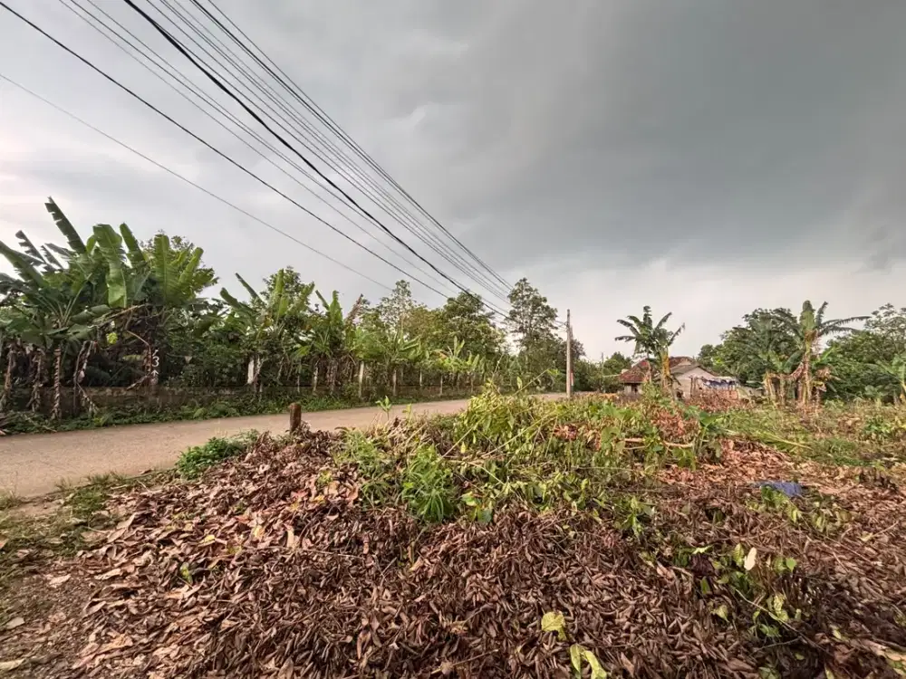 Tanah Kavling Cisauk - SHM 1Jtan/m - 10 Menit Tol Legok/Stasiun Jatake