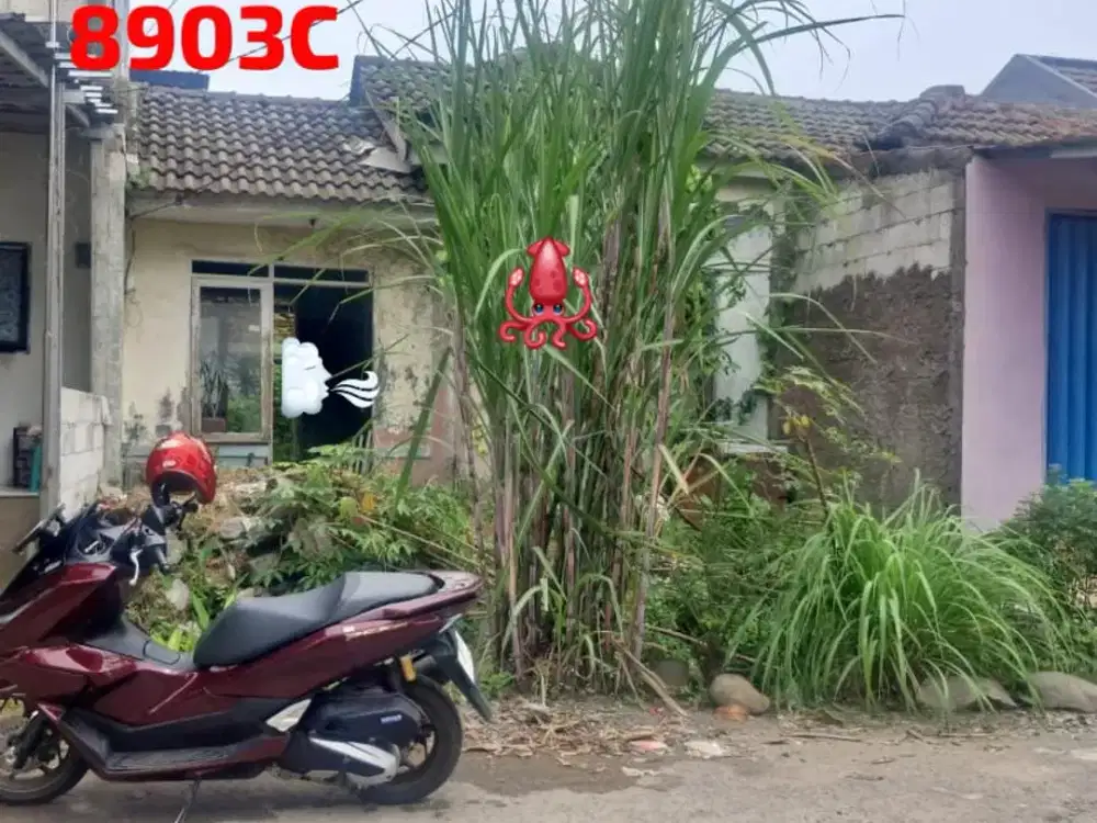 Dijual Rumah Murah Standar di Citra Indah City 8903C