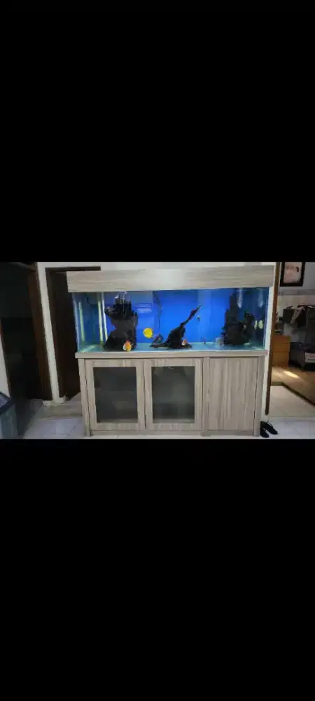 Aquarium set borongan 2meter