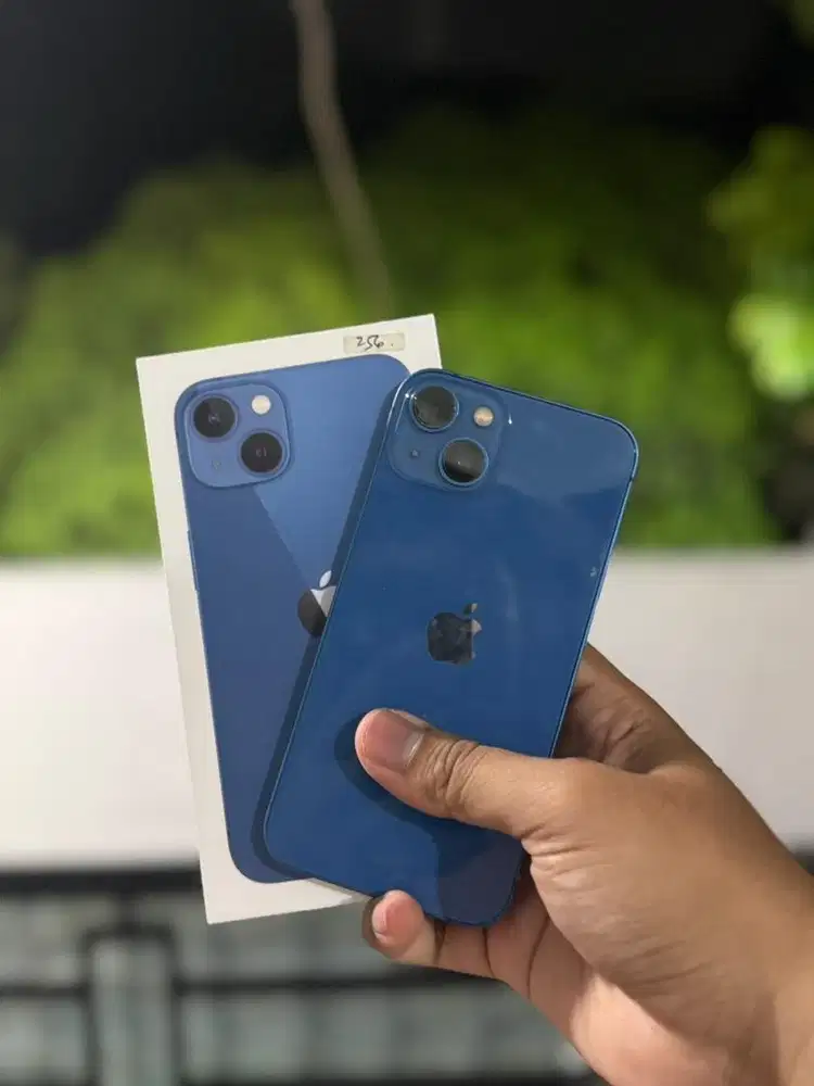 Iphone 13 256 gb ibox