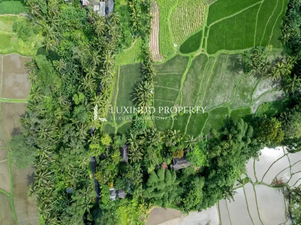 DIJUAL TANAH DENGAN LUAS 20.42 ARE DI KENDERAN, GIANYAR