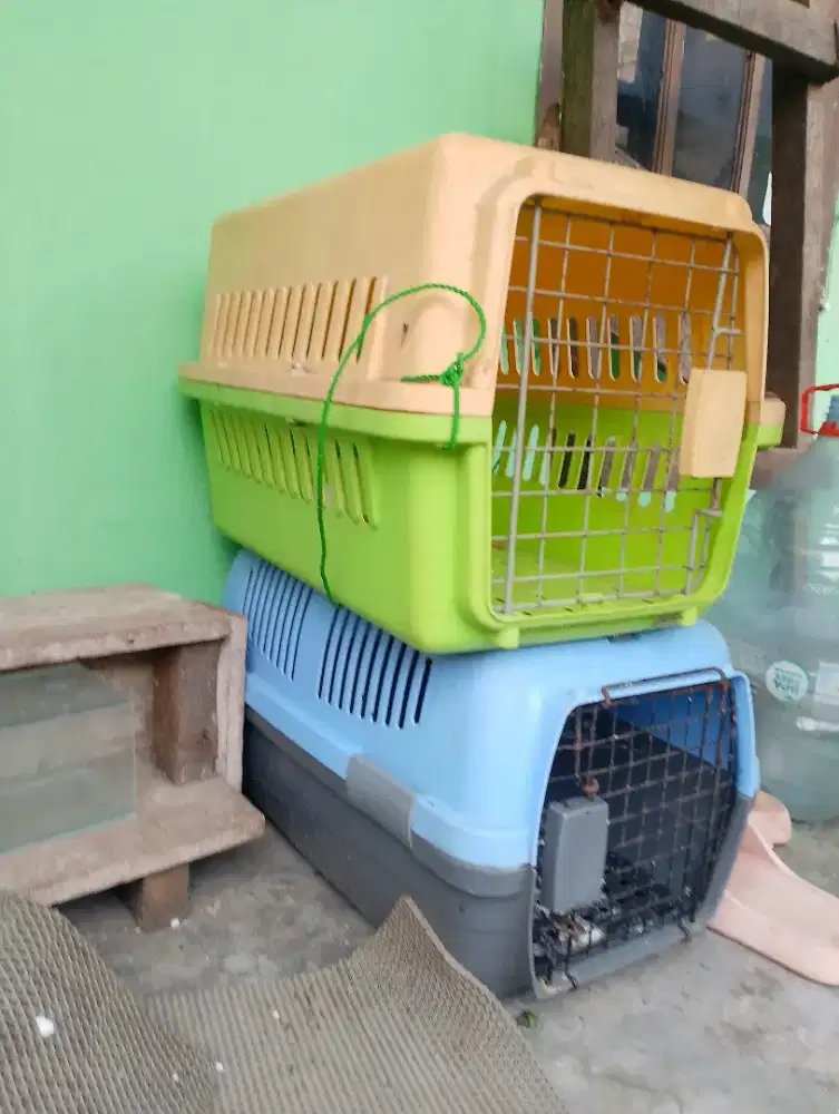 Pet cargo untuk anabul