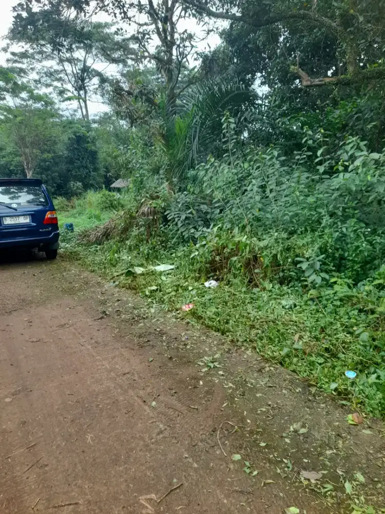 Di jual tanah darat di Ciangsana  200 m2