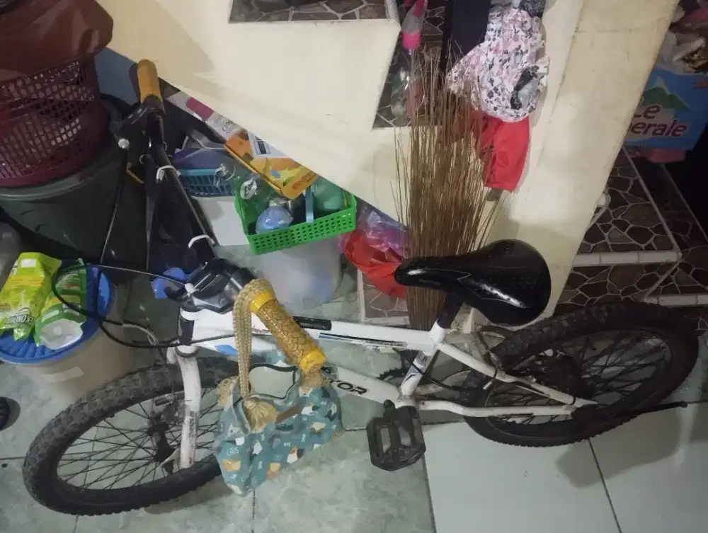 Jual Sepeda Kondisi Apa Ada Nya