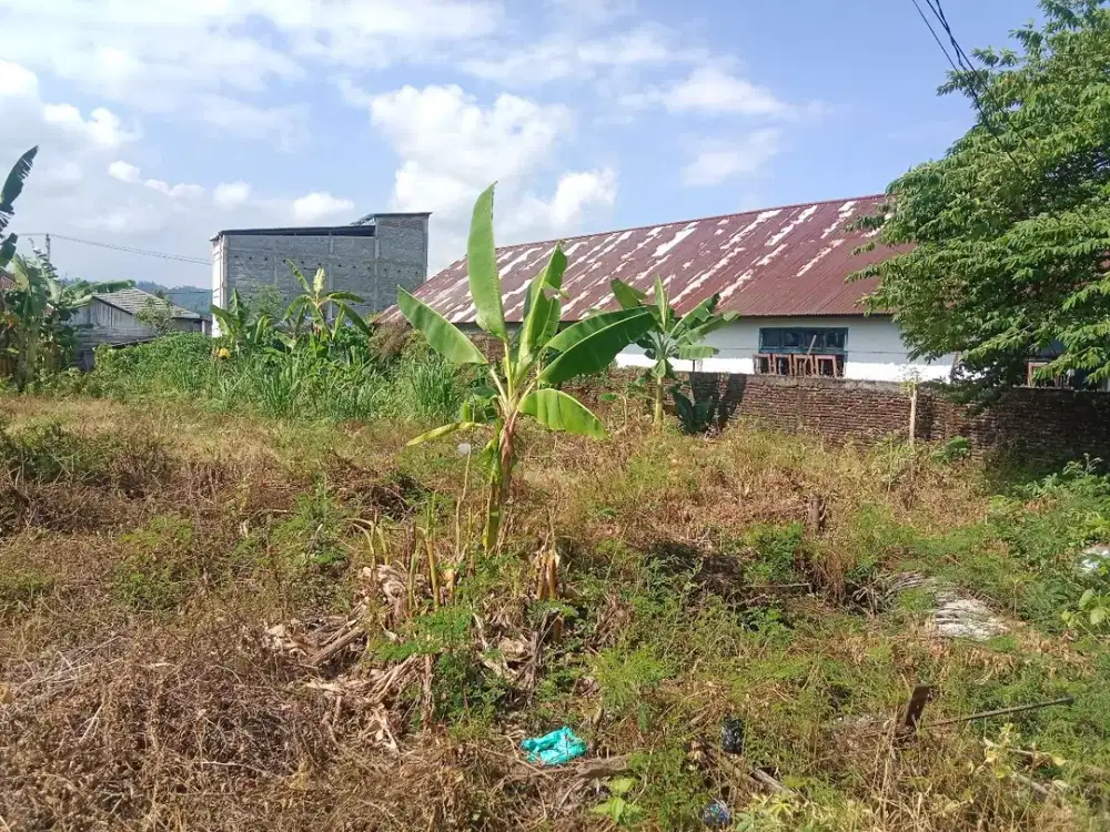 Tanah Strategis dan Murah di Kawasan Batui, Banggai dekat dengan Pasar Batui