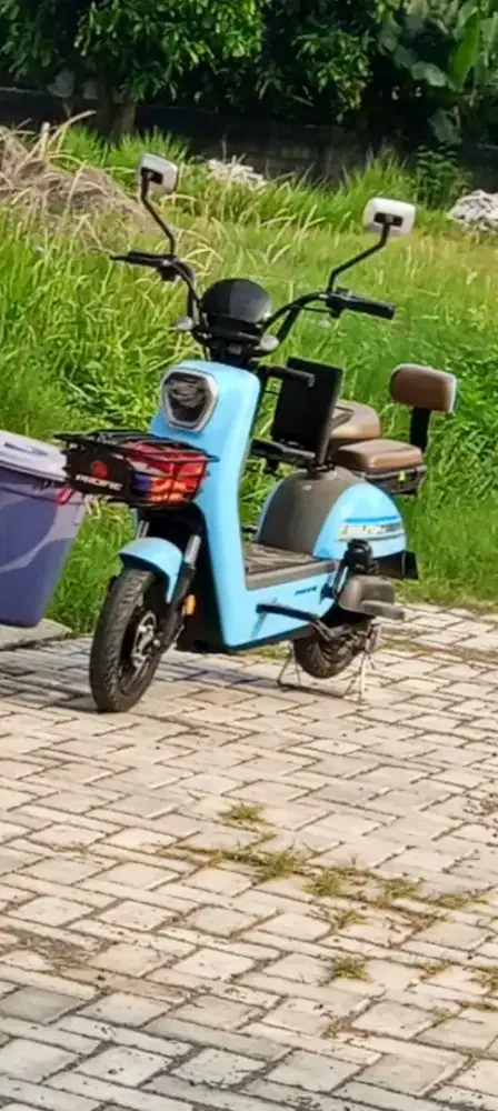 Pacific Skeleton 5.0