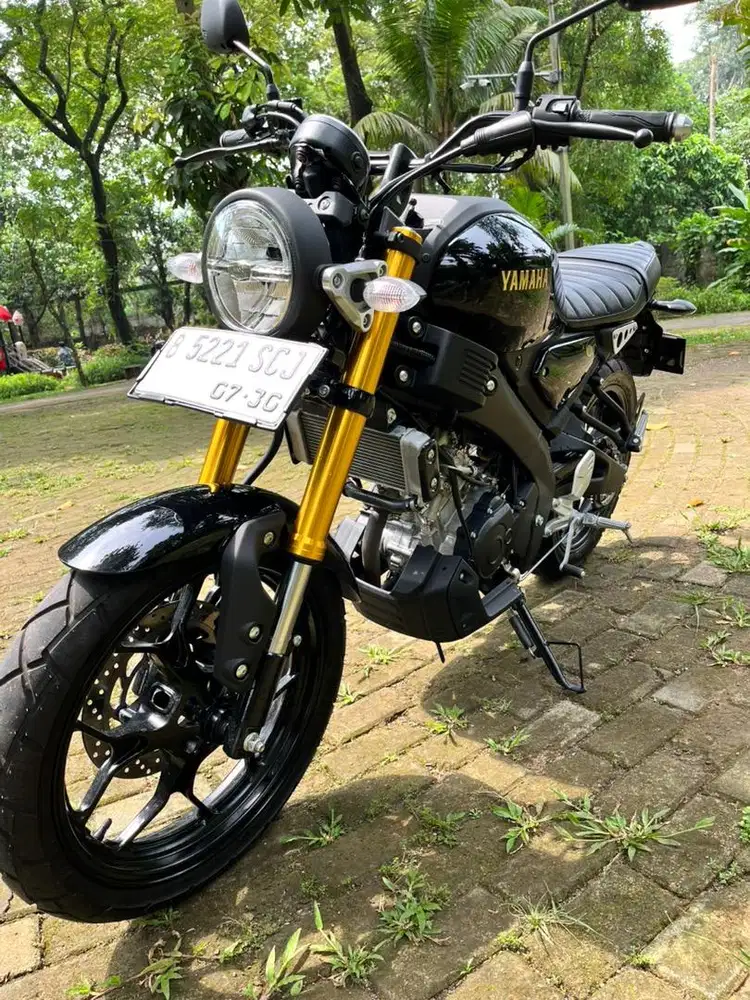 Yamaha xsr 155 2025