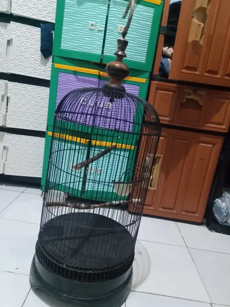 Kandang burung love bird Tinggi komplit