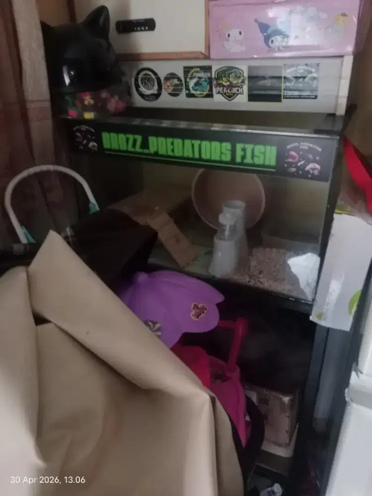 Aquarium/rak Aquarium