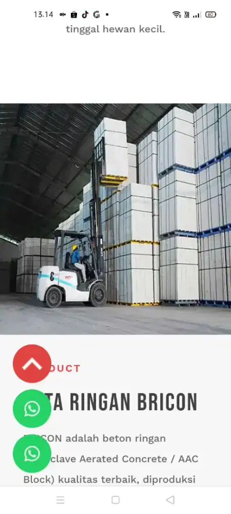 BATA RINGAN HEBEL BRICON A1 FREE 3 ZAK SEMEN