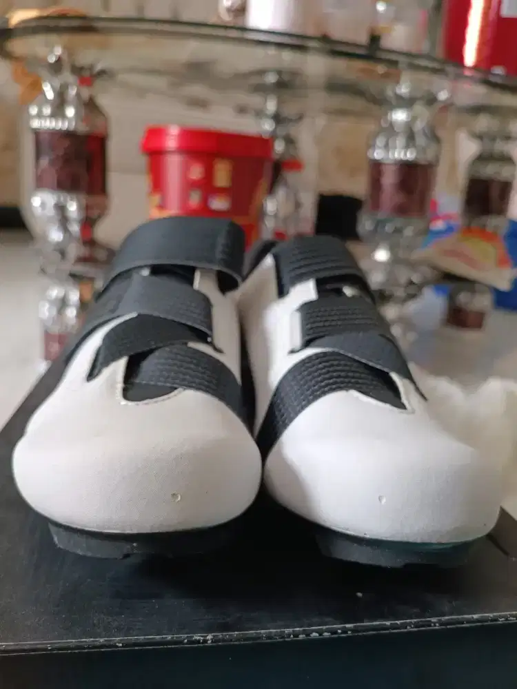 Sepatu roadbike Fizik R5