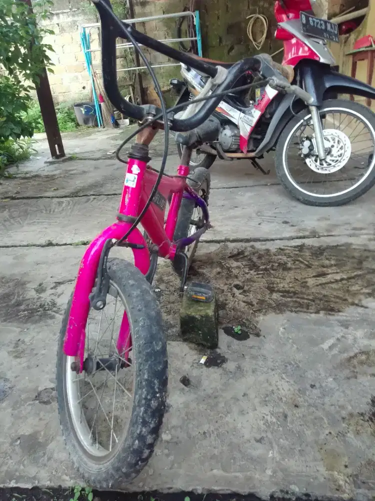 Jual sepeda anak