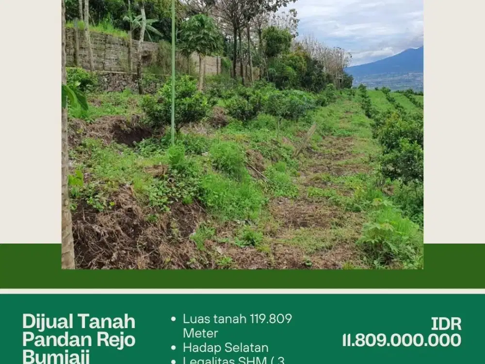 DIJUAL TANAH KEBUN MILIK PT