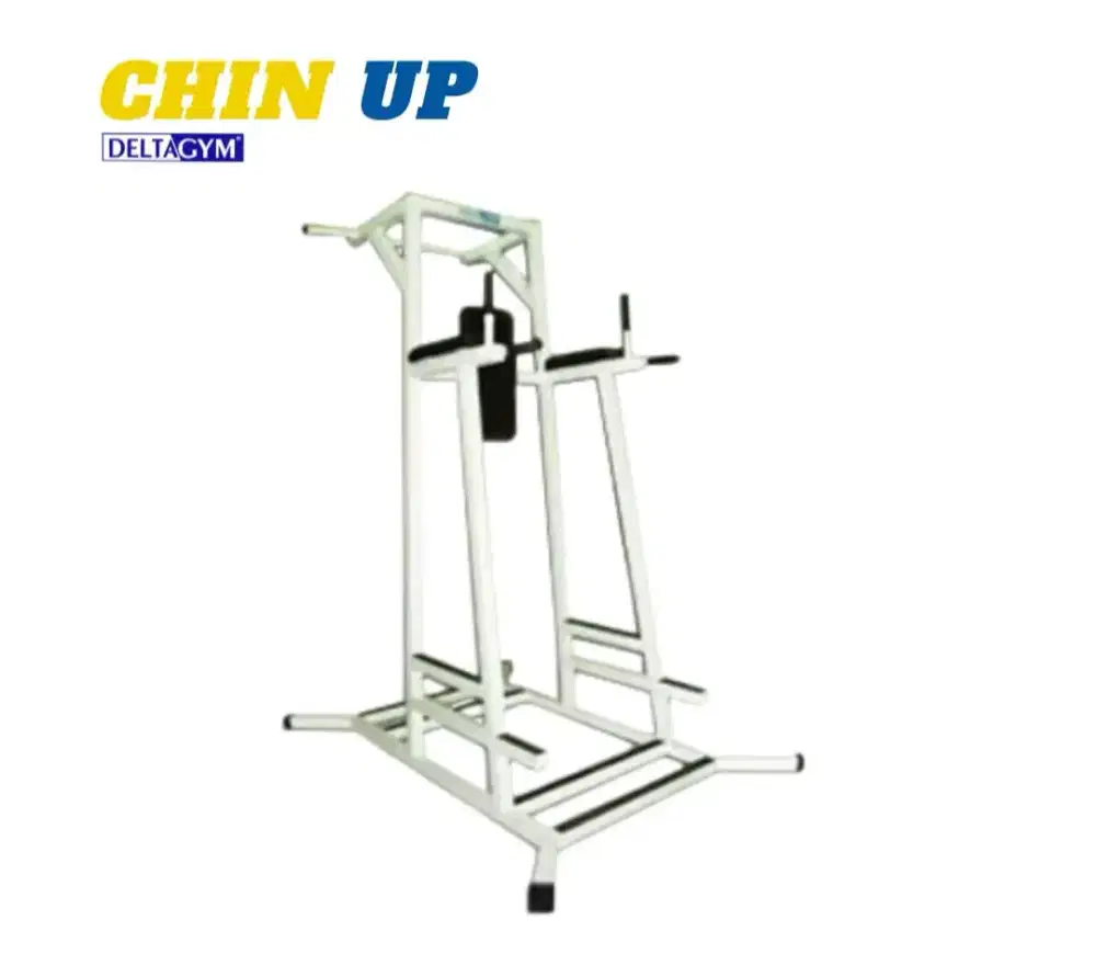Chin Up / Hip Flexor / Leg Dip Stand Merk Deltagym