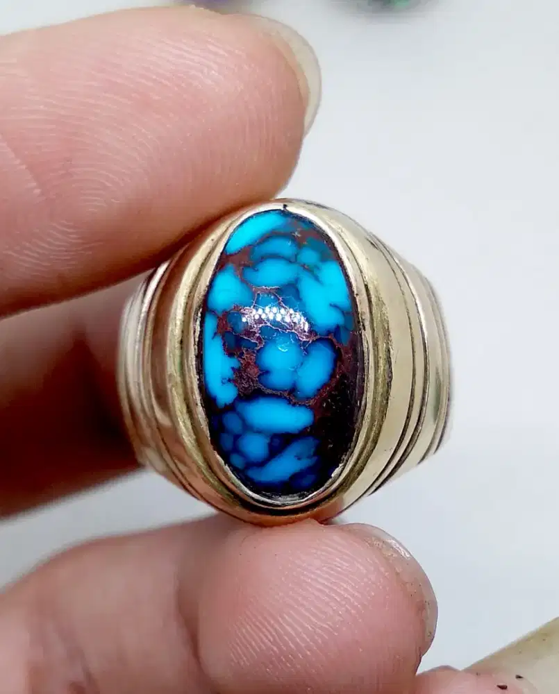 Pirus biru fancy istimewa