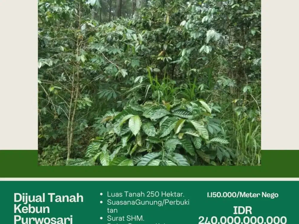 DIJUAL TANAH KEBUN PURWOSARI PANDAAN