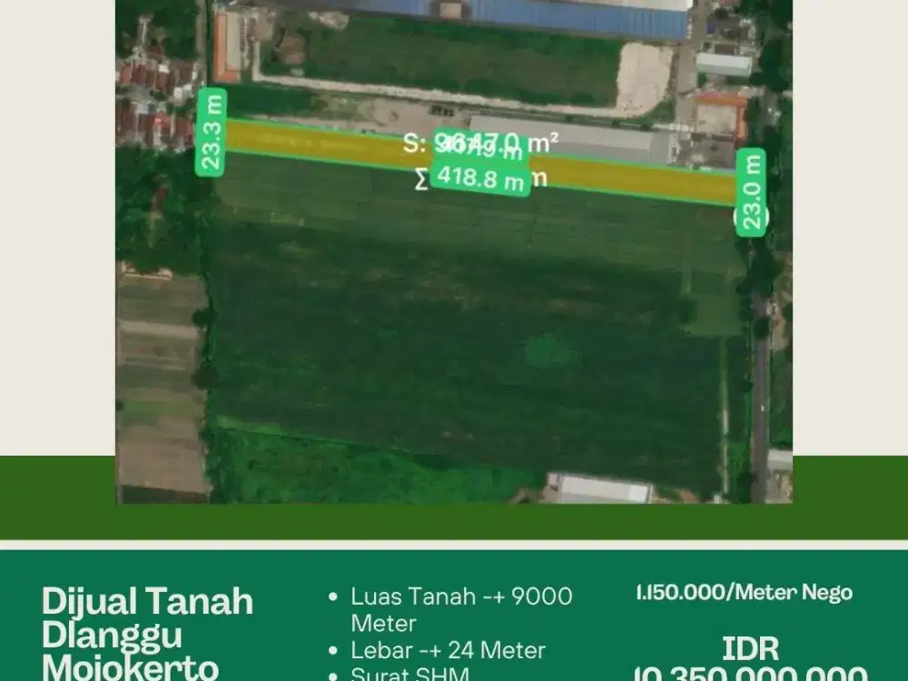 DIJUAL TANAH SAWAH DLANGU MOJOKERTO