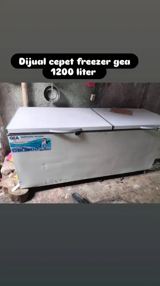 Dijual cepat freezee gea 1200 liter