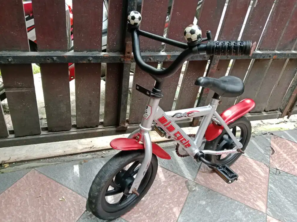 Sepeda anak silver