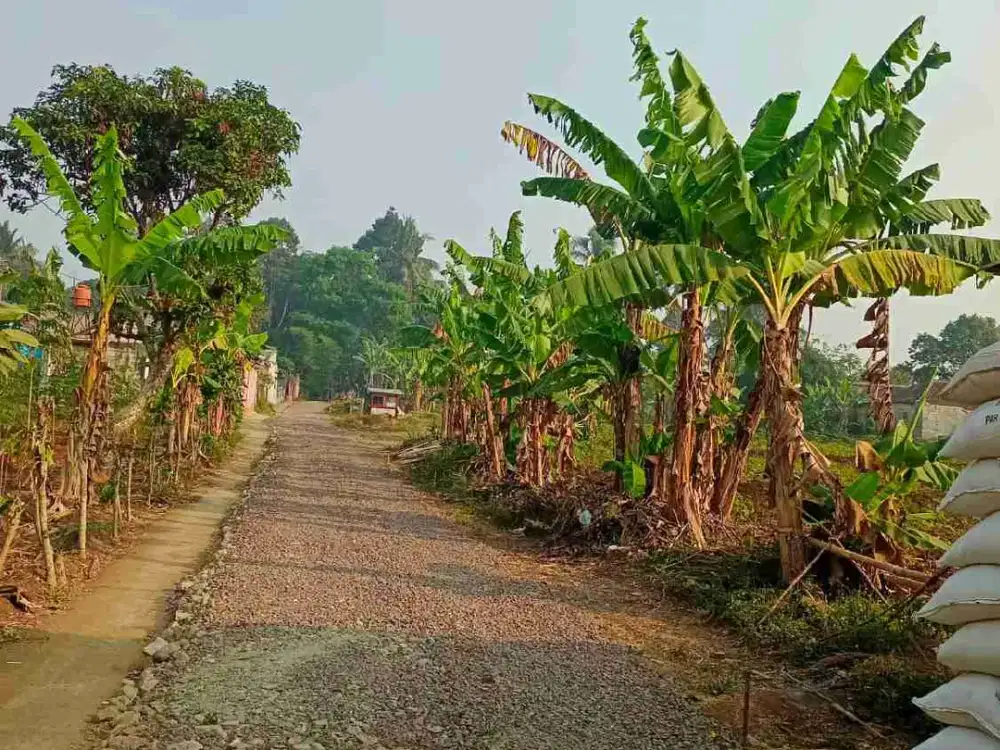 di jual tanah kosong ada kebun didaerah sinagar utara nagrak utara cibadak sukabumi