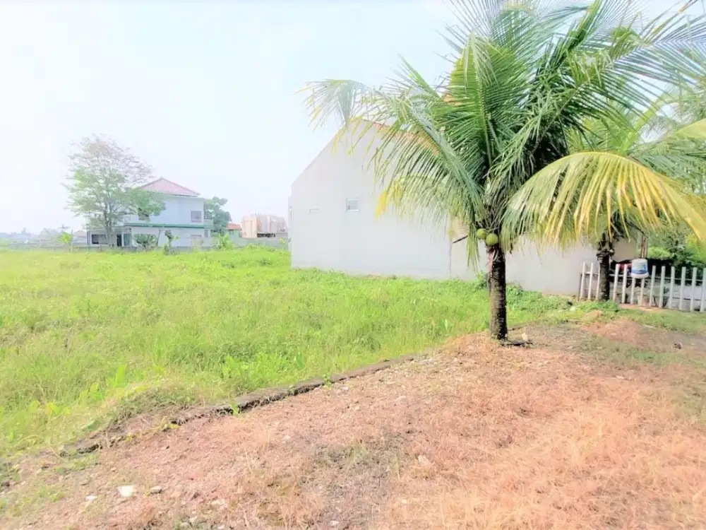 Tanah Kavling Cuma 1 KM ke IPB Dramaga, Harga 2 Juta-an/m2