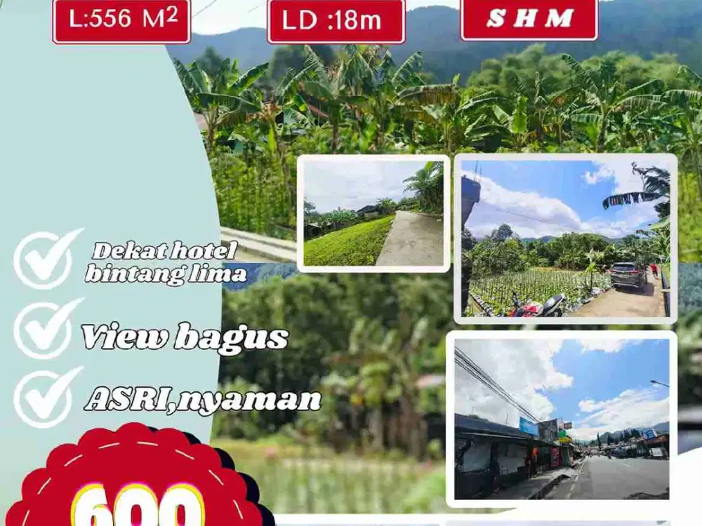 Tanah pekarangan tawangmangu dekat jln raya