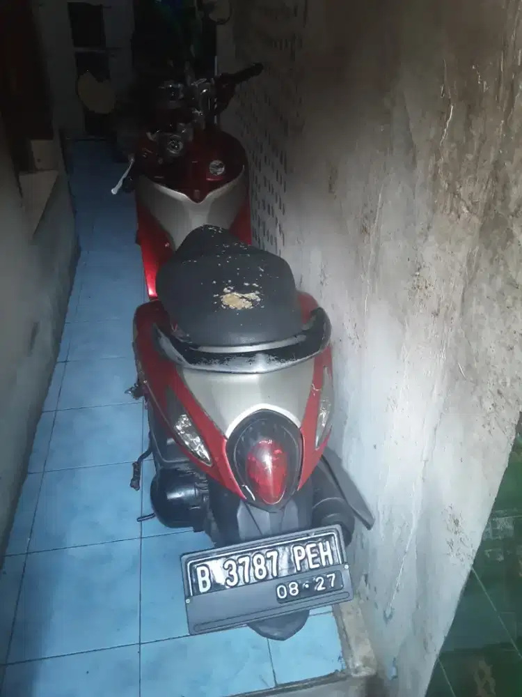 Misi agan2, mo jual fino merahku